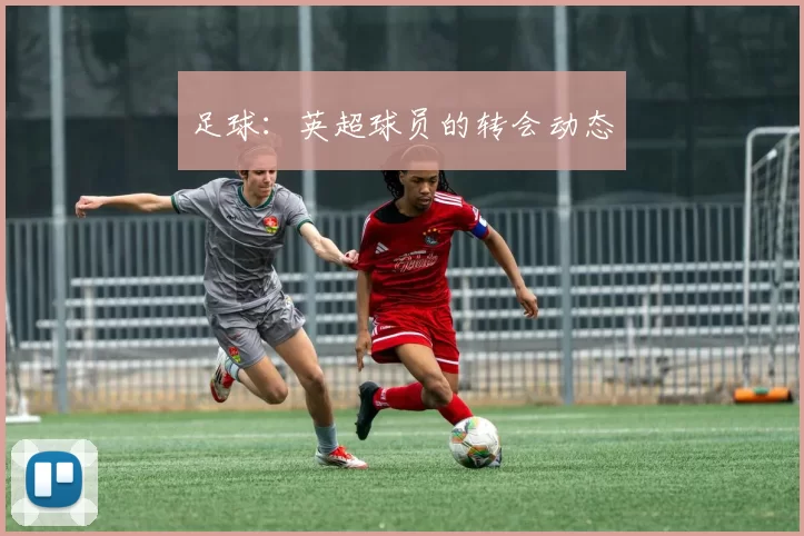 足球：英超球员的转会动态
